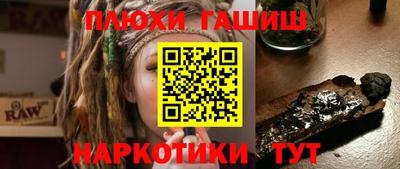 соль ск Новозыбков