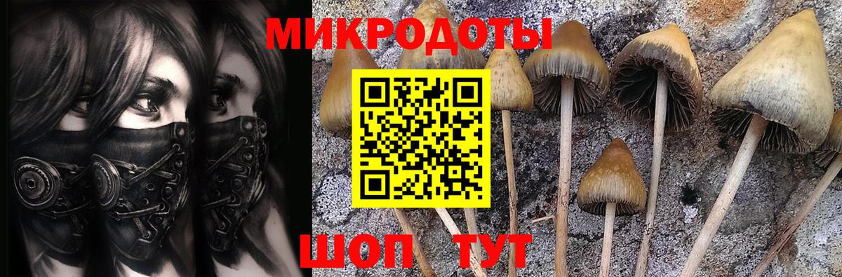 Галлюциногенные грибы ЛСД  Вход с VPN  Чайковский  Галлюциногенные грибы Cubensis 
