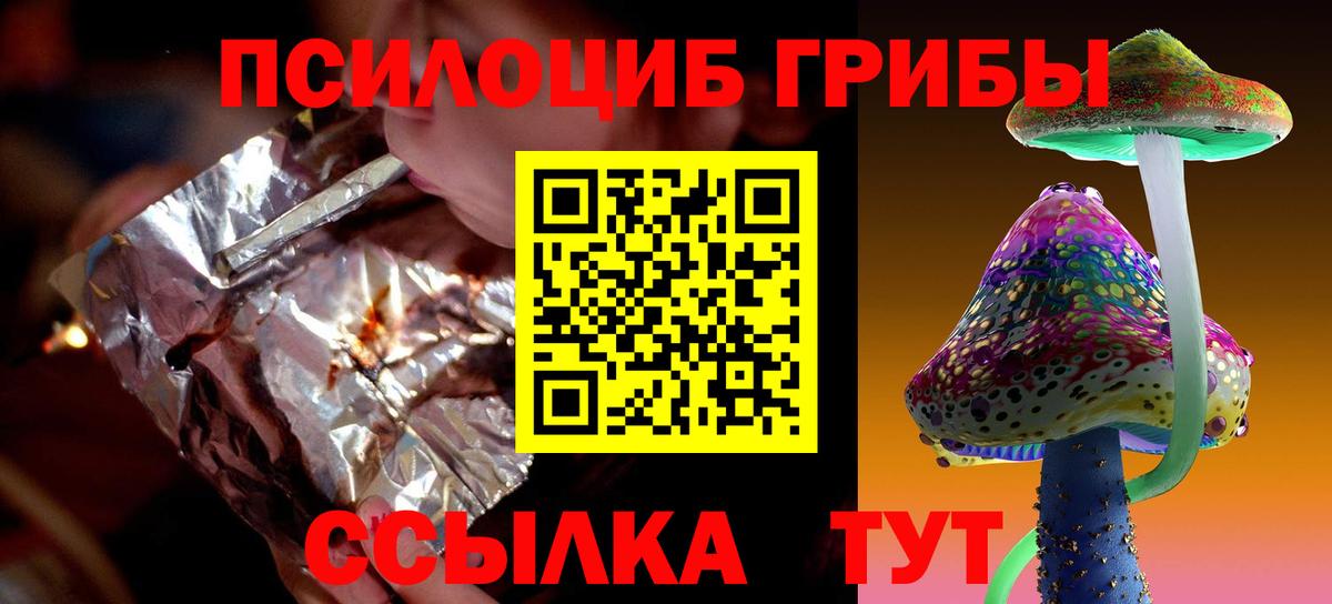 Псилоцибиновые грибы Cubensis Чайковский